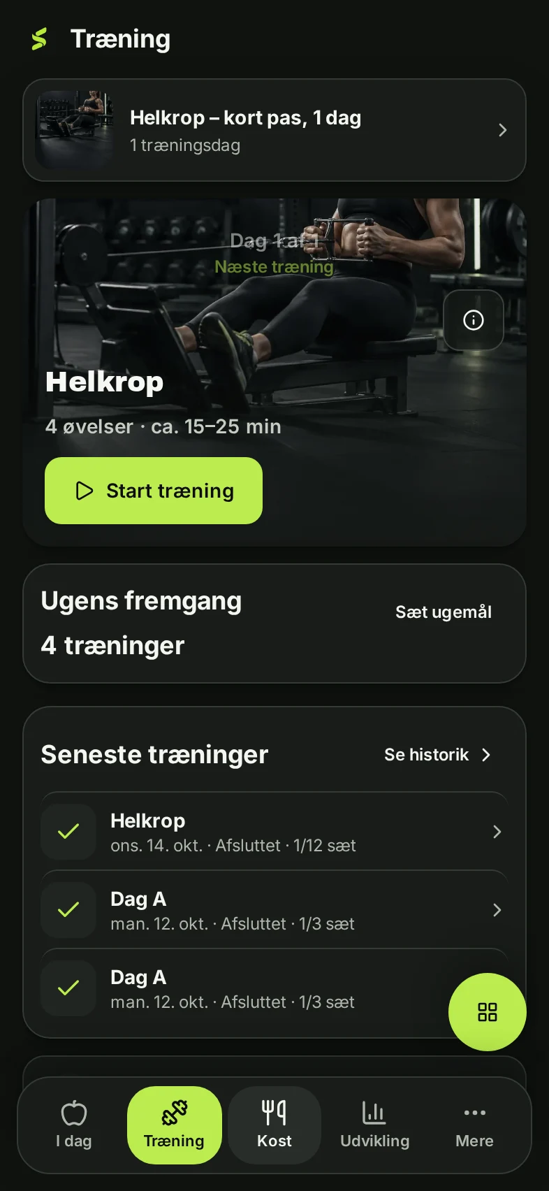 Træning viser Helkrop – kort pas, 1 dag